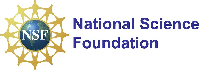 National Science Foundation Research Experiences for Undergraduates